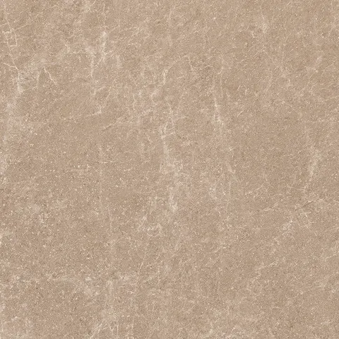 PULSE BROWN view 8